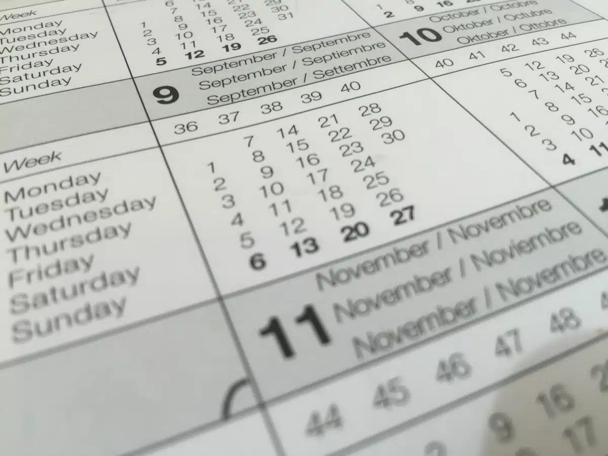 Qualify Schedule and Solidify