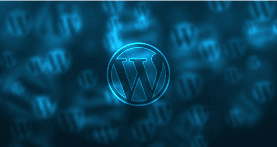 WordPress Website Development Services